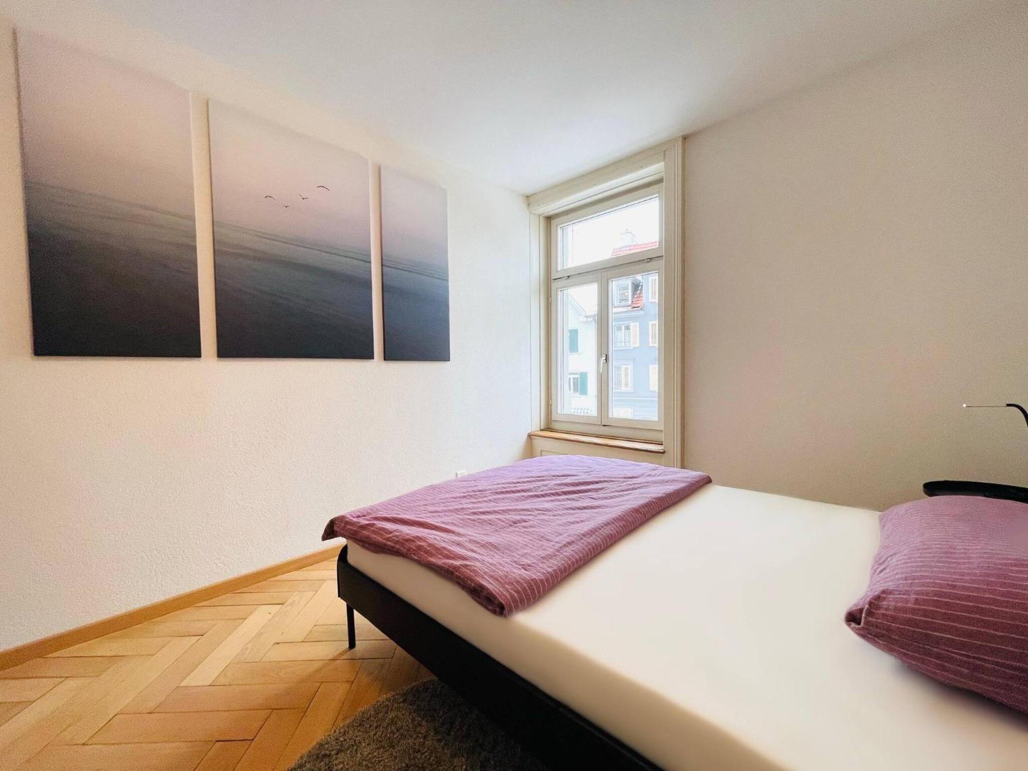 Beautiful, Bright, Large Apartment With Balcony Smarttv St. Gallen Εξωτερικό φωτογραφία